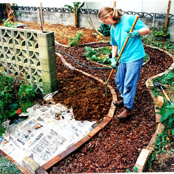 Јавен повик за избор на експерт за креирање урбана градина